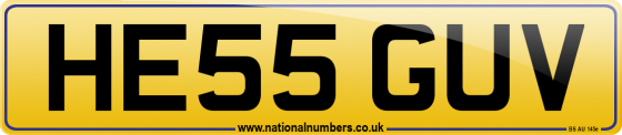 HE55 GUV