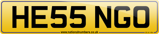 HE55 NGO