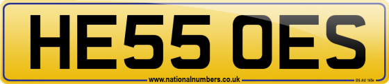 HE55 OES