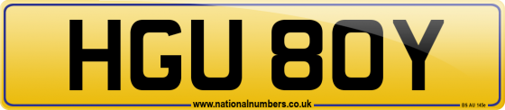 HGU 80Y