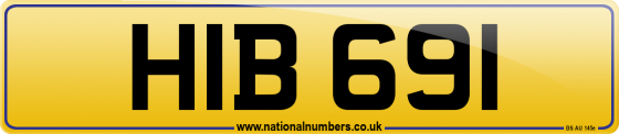 HIB 691