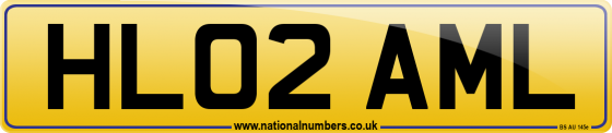 HL02 AML