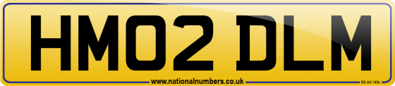 HM02 DLM