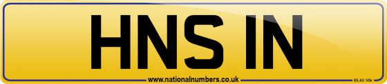 HNS 1N