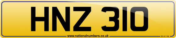 HNZ 310
