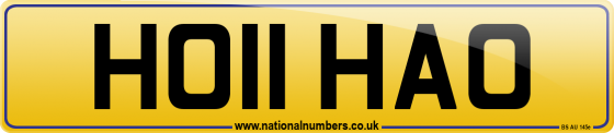 HO11 HAO