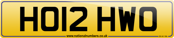 HO12 HWO