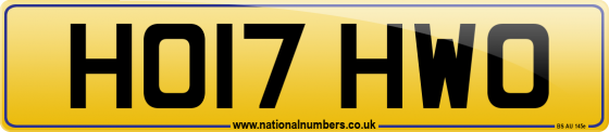 HO17 HWO