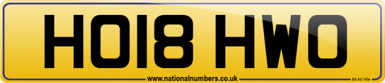 HO18 HWO