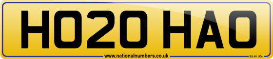 HO20 HAO