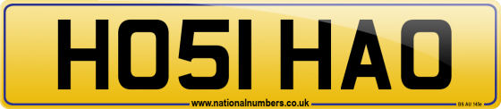 HO51 HAO