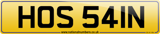 HOS 541N