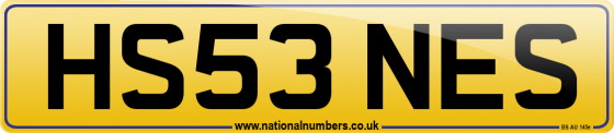 HS53 NES