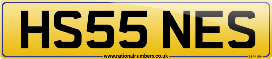 HS55 NES