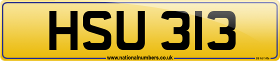 HSU 313
