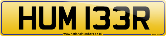 HUM 133R