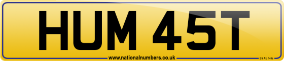 HUM 45T