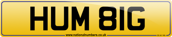 HUM 81G