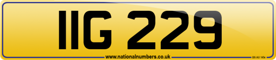 IIG 229