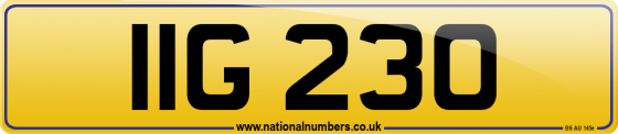 IIG 230