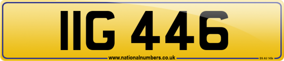 IIG 446