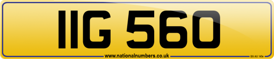 IIG 560
