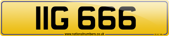 IIG 666