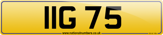 IIG 75