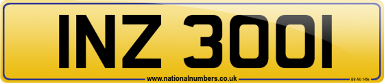 INZ 3001