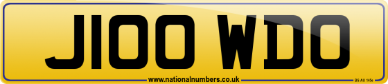 J100 WDO