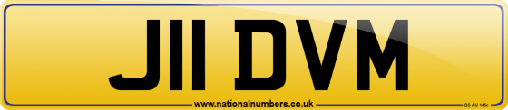 J11 DVM