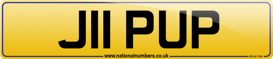 J11 PUP