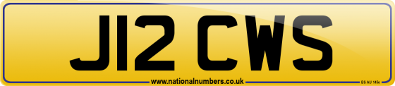 J12 CWS