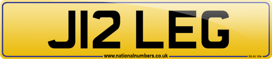 J12 LEG