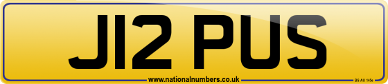 J12 PUS