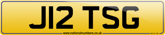 J12 TSG