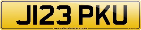J123 PKU