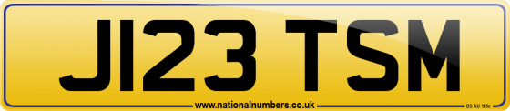 J123 TSM