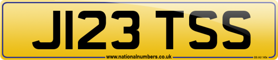 J123 TSS