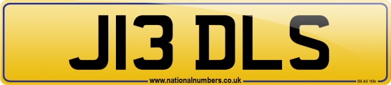 J13 DLS