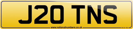 J20 TNS