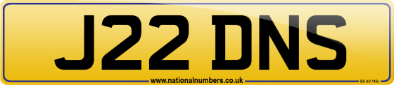 J22 DNS