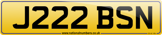 J222 BSN