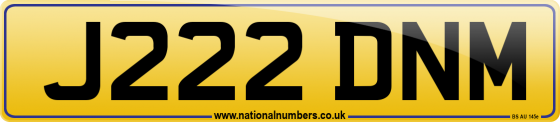 J222 DNM