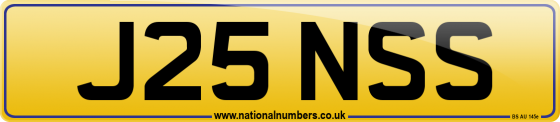 J25 NSS