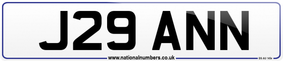 J29 ANN