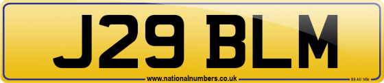 J29 BLM