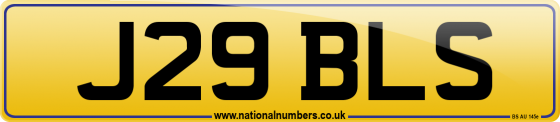 J29 BLS