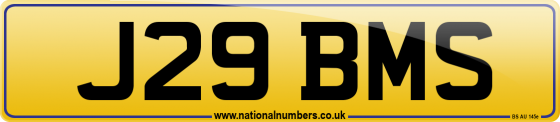 J29 BMS
