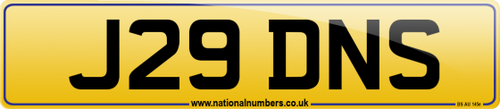 J29 DNS